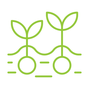 home-results-icons-01