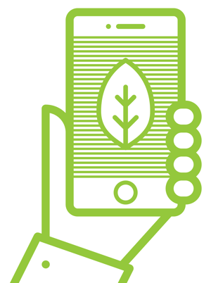 plant-app-illustration