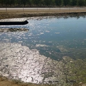 water-resevoir-before